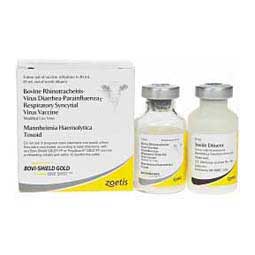 Bovi-Shield Gold One Shot Cattle Vaccine  Zoetis Animal Health